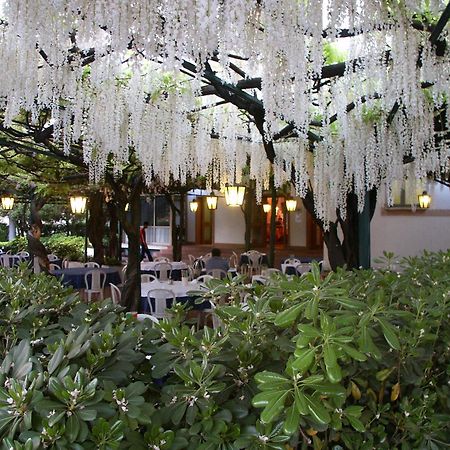 Albergo Ristorante Papa Peschiera del Garda Exterior foto