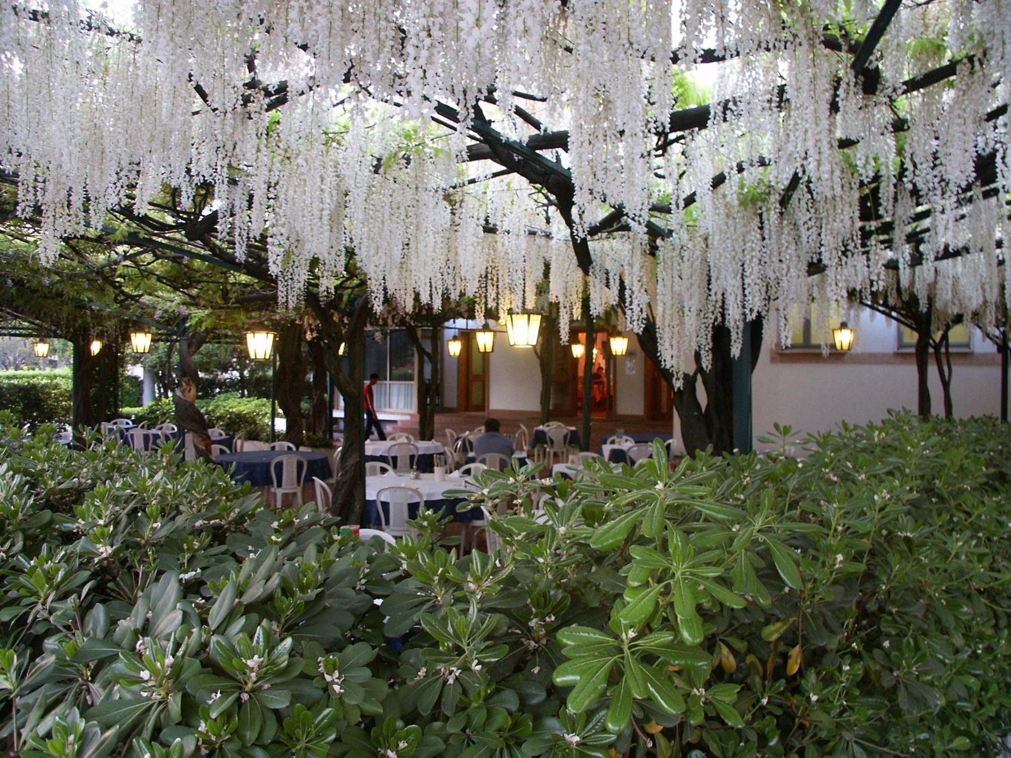 Albergo Ristorante Papa Peschiera del Garda Exterior foto