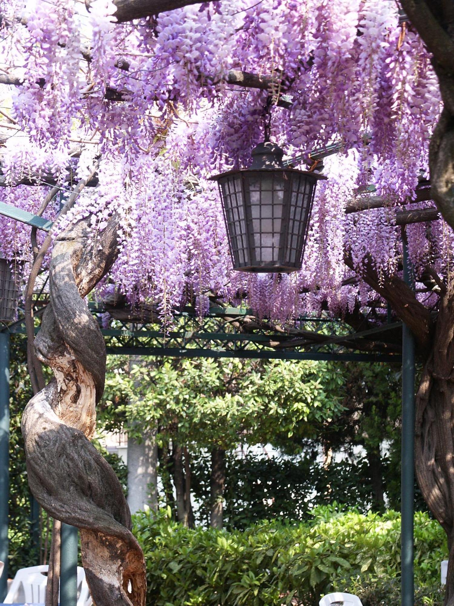 Albergo Ristorante Papa Peschiera del Garda Exterior foto